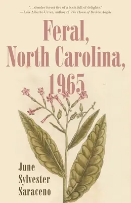 Feral, Carolina de Nord, 1965 - Feral, North Carolina, 1965