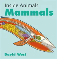În interiorul animalelor: Mamifere - Inside Animals: Mammals