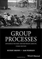 Procese de grup: Dinamica în cadrul grupurilor și între grupuri - Group Processes: Dynamics Within and Between Groups