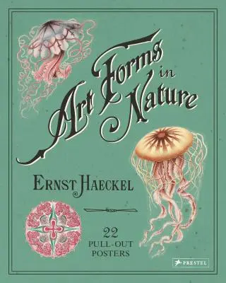 Forme de artă în natură: 22 de postere detașabile - Art Forms in Nature: 22 Pull-Out Posters