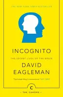 Incognito - Viețile secrete ale creierului - Incognito - The Secret Lives of The Brain