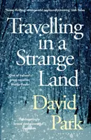 Travelling in a Strange Land - Câștigătorul premiului Kerry Group pentru romanul irlandez al anului - Travelling in a Strange Land - Winner of the Kerry Group Irish Novel of the Year