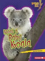 Faceți cunoștință cu un pui de Koala - Meet a Baby Koala