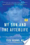 Fiul meu și viața de apoi: Conversații din partea cealaltă - My Son and the Afterlife: Conversations from the Other Side