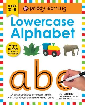Caiet de lucru Wipe Clean: Lowercase Alphabet (Legătură spirală închisă): Vârste 3-6 ani; cu stilou și cărți flash - Wipe Clean Workbook: Lowercase Alphabet (Enclosed Spiral Binding): Ages 3-6; With Pen & Flash Cards