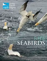 Rspb Păsări de mare - Rspb Seabirds