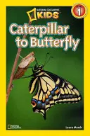 De la omidă la fluture - Caterpillar to Butterfly
