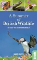 Summer of British Wildlife - 100 de zile minunate pentru observarea vieții sălbatice - Summer of British Wildlife - 100 great days out watching wildlife