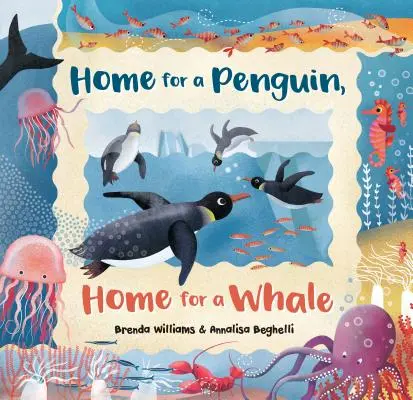 Acasă pentru un pinguin, acasă pentru o balenă - Home for a Penguin, Home for a Whale