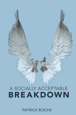 O descompunere acceptabilă din punct de vedere social - A Socially Acceptable Breakdown
