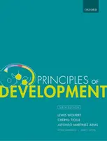 Principiile dezvoltării - Principles of Development
