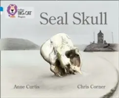Craniul focii - Seal Skull