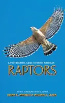 Un ghid fotografic al răpitorilor din America de Nord - A Photographic Guide to North American Raptors