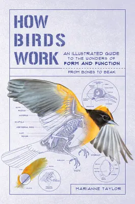 Cum funcționează păsările: Un ghid ilustrat al minunilor formei și funcției - de la oase la cioc - How Birds Work: An Illustrated Guide to the Wonders of Form and Function--From Bones to Beak