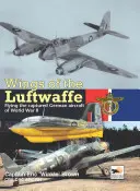 Wings of the Luftwaffe: Flying the Captured German Aircraft of WWII (Zborul cu avioane germane capturate în al Doilea Război Mondial) - Wings of the Luftwaffe: Flying the Captured German Aircraft of WWII