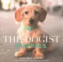 Cățelușii de la Dogist - The Dogist Puppies