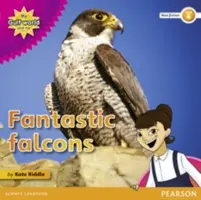 Lumea Golfului meu și cu mine Nivelul 4 de lectură non-ficțiune: Șoimii fantastici - My Gulf World and Me Level 4 non-fiction reader: Fantastic falcons