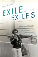 Exil în exil: Herbert Daniel, revoluționar brazilian homosexual - Exile within Exiles: Herbert Daniel, Gay Brazilian Revolutionary
