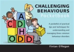 Challenging Behaviours Pocketbook - Manual de buzunar privind comportamentele provocatoare - Challenging Behaviours Pocketbook - Challenging Behaviours Pocketbook - Challenging Behaviours Pocketbook