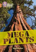 Mega Plante - Banda 12/Cupru - Mega Plants - Band 12/Copper