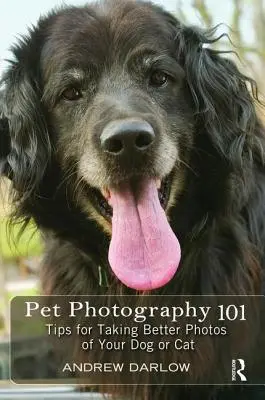 Pet Photography 101: Sfaturi pentru a face fotografii mai bune câinelui sau pisicii tale - Pet Photography 101: Tips for Taking Better Photos of Your Dog or Cat