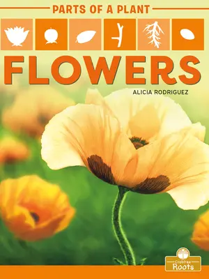 Flori - Flowers