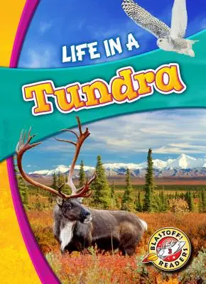 Viața în tundră - Life in a Tundra