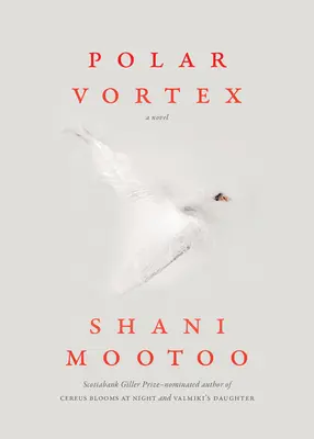 Vortex polar - Polar Vortex