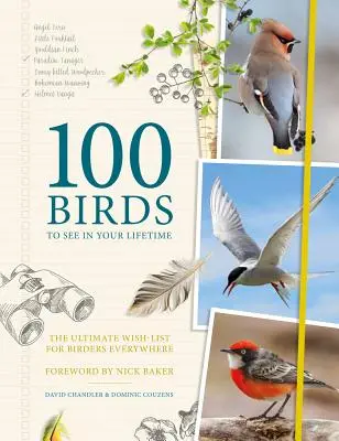 100 Birds to See in Your Lifetime: Lista supremă de dorințe pentru pasionații de păsări de pretutindeni - 100 Birds to See in Your Lifetime: The Ultimate Wish-List for Birders Everywhere