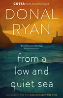Dintr-o mare joasă și liniștită - pe lista scurtă pentru Costa Novel Award 2018 - From a Low and Quiet Sea - Shortlisted for the Costa Novel Award 2018