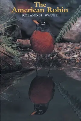 Robinul american - The American Robin