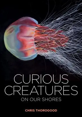 Creaturi curioase de pe țărmurile noastre - Curious Creatures on Our Shores