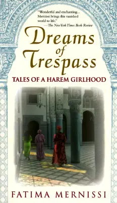 Vise de violare de domiciliu: Poveștile unei copilării de harem - Dreams of Trespass: Tales of a Harem Girlhood