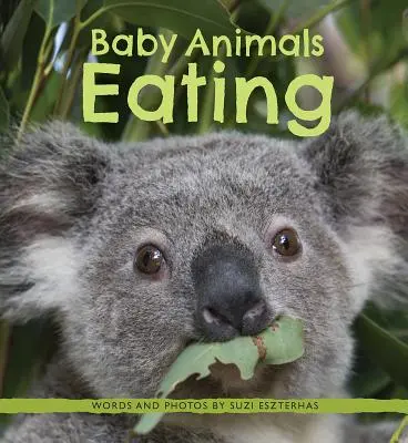 Bebeluși care mănâncă animale - Baby Animals Eating