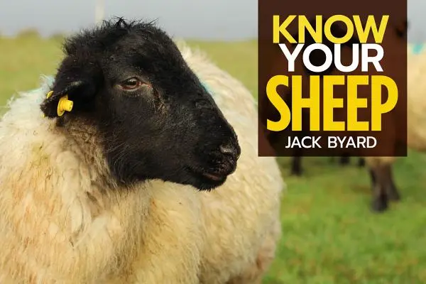 Cunoaște-ți oile - Know Your Sheep