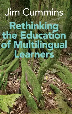 Rethinking the Education of Multilingual Learners: O analiză critică a conceptelor teoretice - Rethinking the Education of Multilingual Learners: A Critical Analysis of Theoretical Concepts