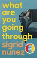 What Are You Going Through - „O bucurie totală - și foarte amuzant” DEBORAH MOGGACH - What Are You Going Through - 'A total joy - and laugh-out-loud funny' DEBORAH MOGGACH