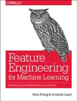 Feature Engineering for Machine Learning: Principii și tehnici pentru cercetătorii de date - Feature Engineering for Machine Learning: Principles and Techniques for Data Scientists