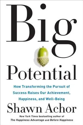 Potențial mare: Cum transformarea căutării succesului ne crește realizările, fericirea și bunăstarea - Big Potential: How Transforming the Pursuit of Success Raises Our Achievement, Happiness, and Well-Being