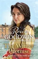 Winter Promise - De la autorul bestsellerului Sunday Times - Winter Promise - From the Sunday Times bestselling author