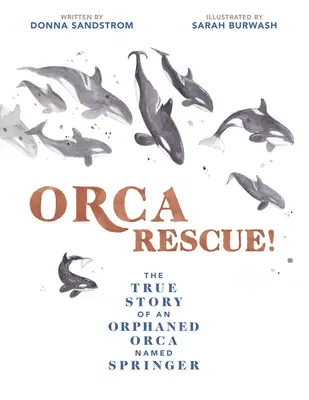 Orca Rescue!: Povestea adevărată a unei orci orfane pe nume Springer - Orca Rescue!: The True Story of an Orphaned Orca Named Springer