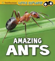 Furnici uimitoare - Amazing Ants