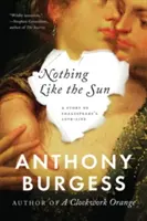 Nimic nu seamănă cu soarele: O poveste de dragoste a lui Shakespeare - Nothing Like the Sun: A Story of Shakespeare's Love-Life