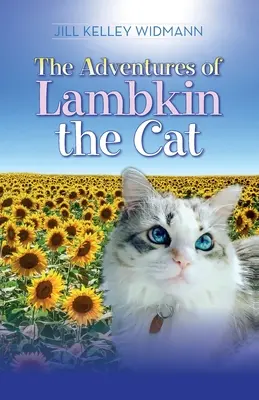 Aventurile pisicii Lambkin - The Adventures of Lambkin the Cat