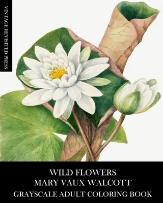 Flori sălbatice: Mary Vaux Walcott Grayscale Adult Coloring Book - Wild Flowers: Mary Vaux Walcott Grayscale Adult Coloring Book