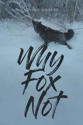 De ce nu Fox - Why Fox Not