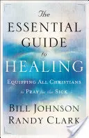 Ghidul esențial pentru vindecare: Echiparea tuturor creștinilor pentru a se ruga pentru cei bolnavi - The Essential Guide to Healing: Equipping All Christians to Pray for the Sick