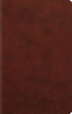 Biblie cu tipar mare, format personal-ESV - Large Print Personal Size Bible-ESV