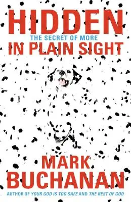 Ascuns în văzul tuturor: The Secret of More - Hidden in Plain Sight: The Secret of More