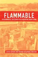 Inflamabil: Suferința mediului într-un cartier de mahala din Argentina - Flammable: Environmental Suffering in an Argentine Shantytown